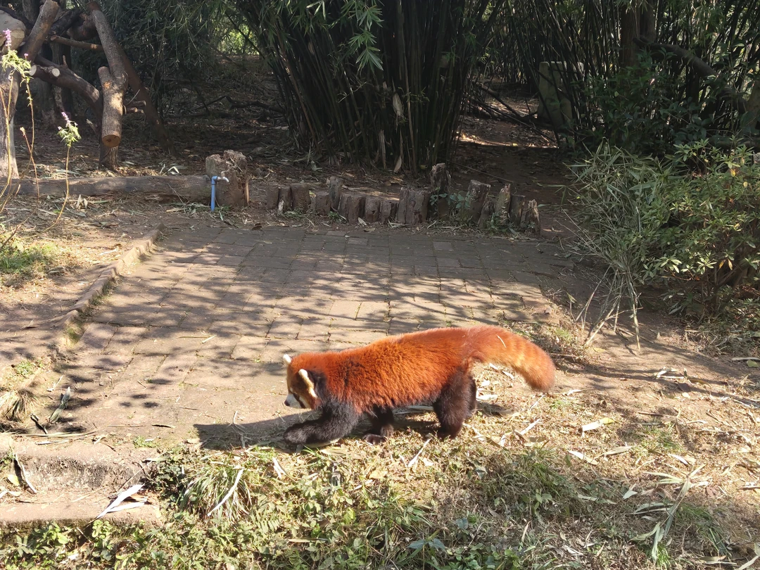 Экскурсия была организована хорошо, гид Ксюша была вовремя в отеле, она нам все рассказала и показала