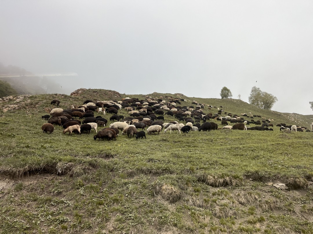 Ездили в тур с гидом Кемалем и остались очень довольны. Кемал - отличный рассказчик, много знает