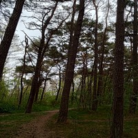 reviews img