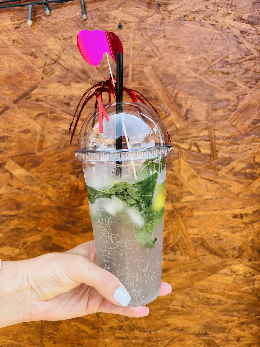 Мастер-класс по приготовлению коктейлей в Сочи (18+) (6/12)