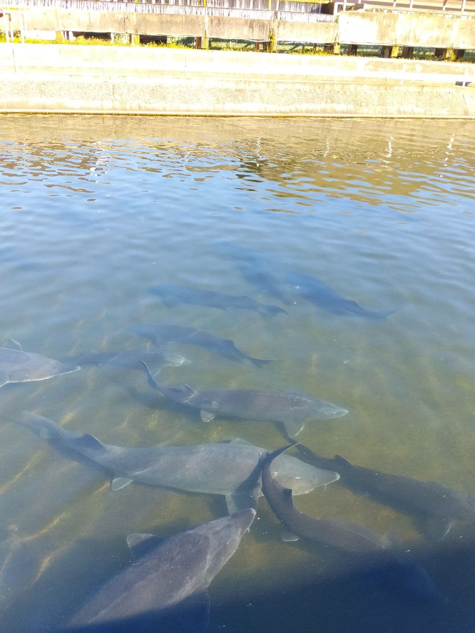Отличная экскурсия с замечательным гидом! Екатерина забрала нас из аэропорта и мы сразу попали в сказку