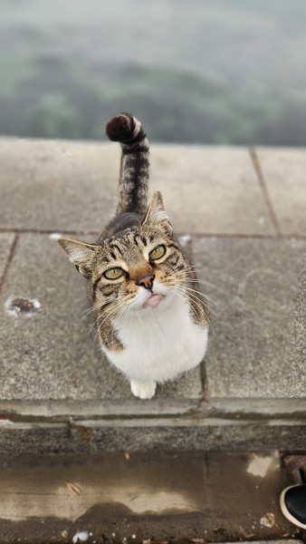 Квест-игра по острову Хейбелиада (Юлия)