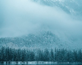 Фото отзыва 2: авторский тур "Зов диких троп: Алтай на джипах, квадроциклах и лошадях"
