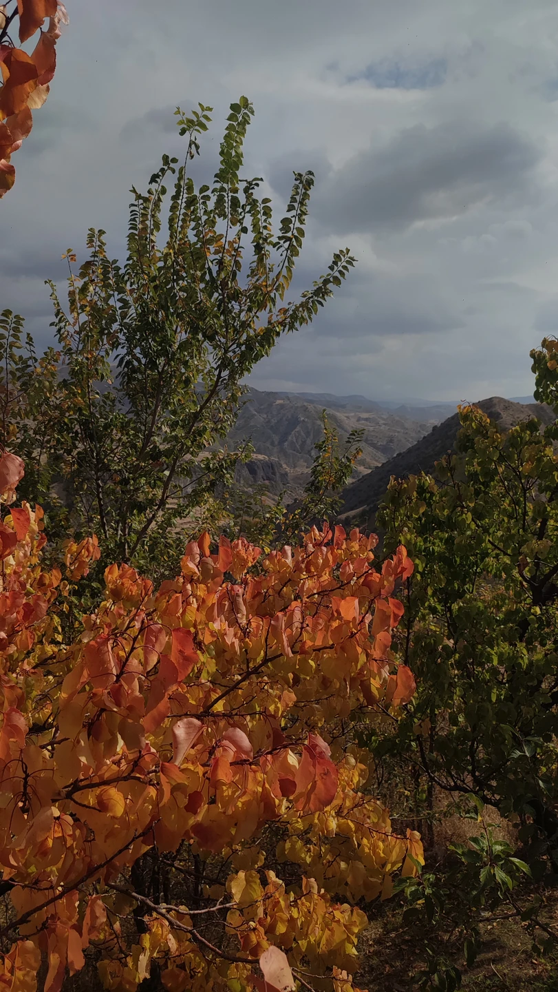 У нас был водитель Вардан и экскурсовод Вардуи. Очень понравилась экскурсия благодаря экскурсоводу. Материал был послан