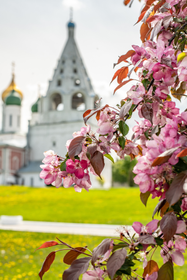 Коломна: кремль, купеческие особняки, храмы, музеи
