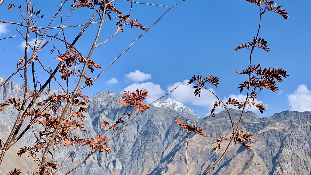 Казбек и Дарьяльское ущелье: Грузия с открытки (Максим)