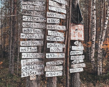 Заброшенная деревня, сбор грибов и ягод и возвращение в Петрозаводск
