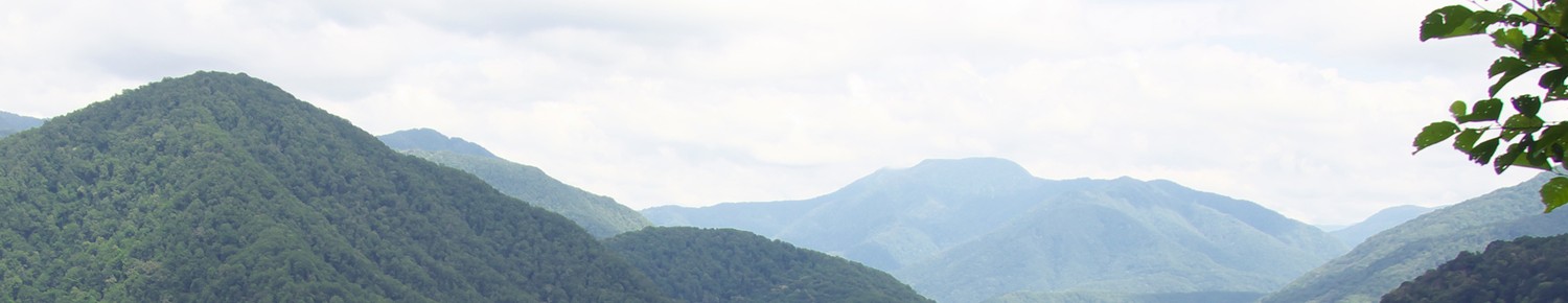 Лоо