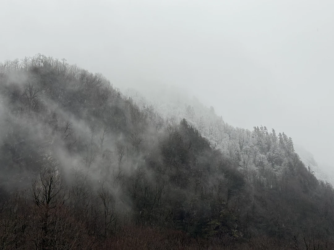 Это просто вау! Ездили в начале января) было холодновато и дождь! но это никак не испортило