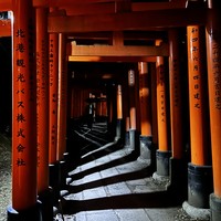 Фото отзыва 7: экскурсия "За чаем — в Удзи, к оленям — в Нару"