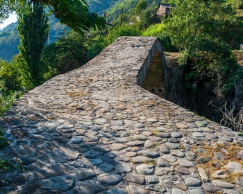 Водопад Мирвети и Самшитовый лес