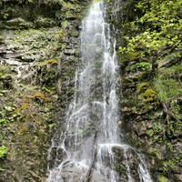 Фото отзыва 3: экскурсия "Сказочные водопады Красной Поляны"