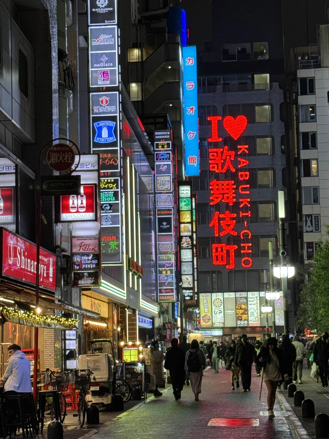 Тёмные аллеи Токио (18+) (Валерия)