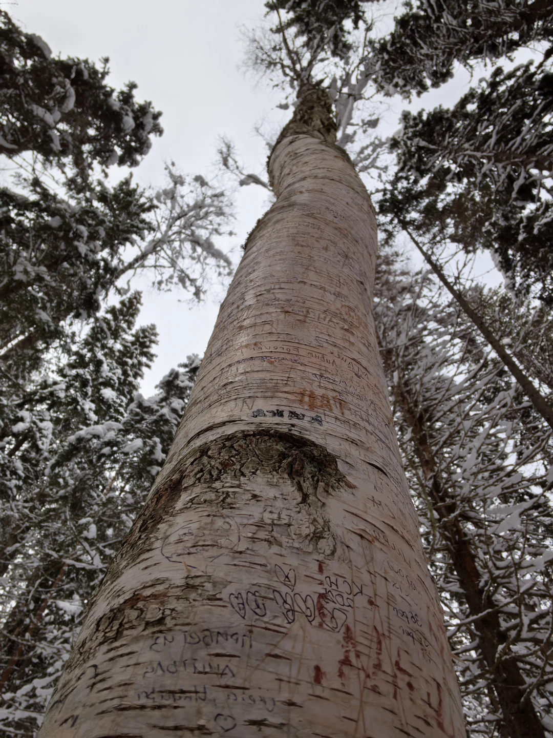 Вчера были в прекрасном путешествии с экскурсоводом Натальей. Нам очень повезло с гидом, поскольку мы кроме