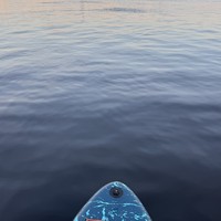 reviews img