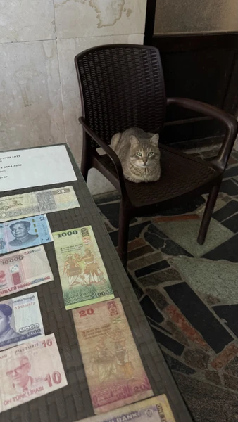 спасибо Славику, это была лучшая экскурсия 🫶🏻 очень душевно и уютно)) нас провезли по очень красивым