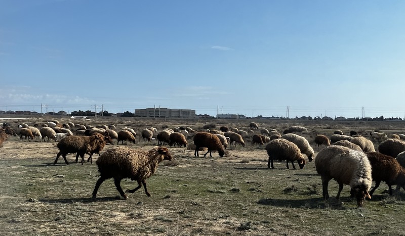 Замечательная экскурсия. Спасибо гиду Руслану за увлекательный рассказ!!!