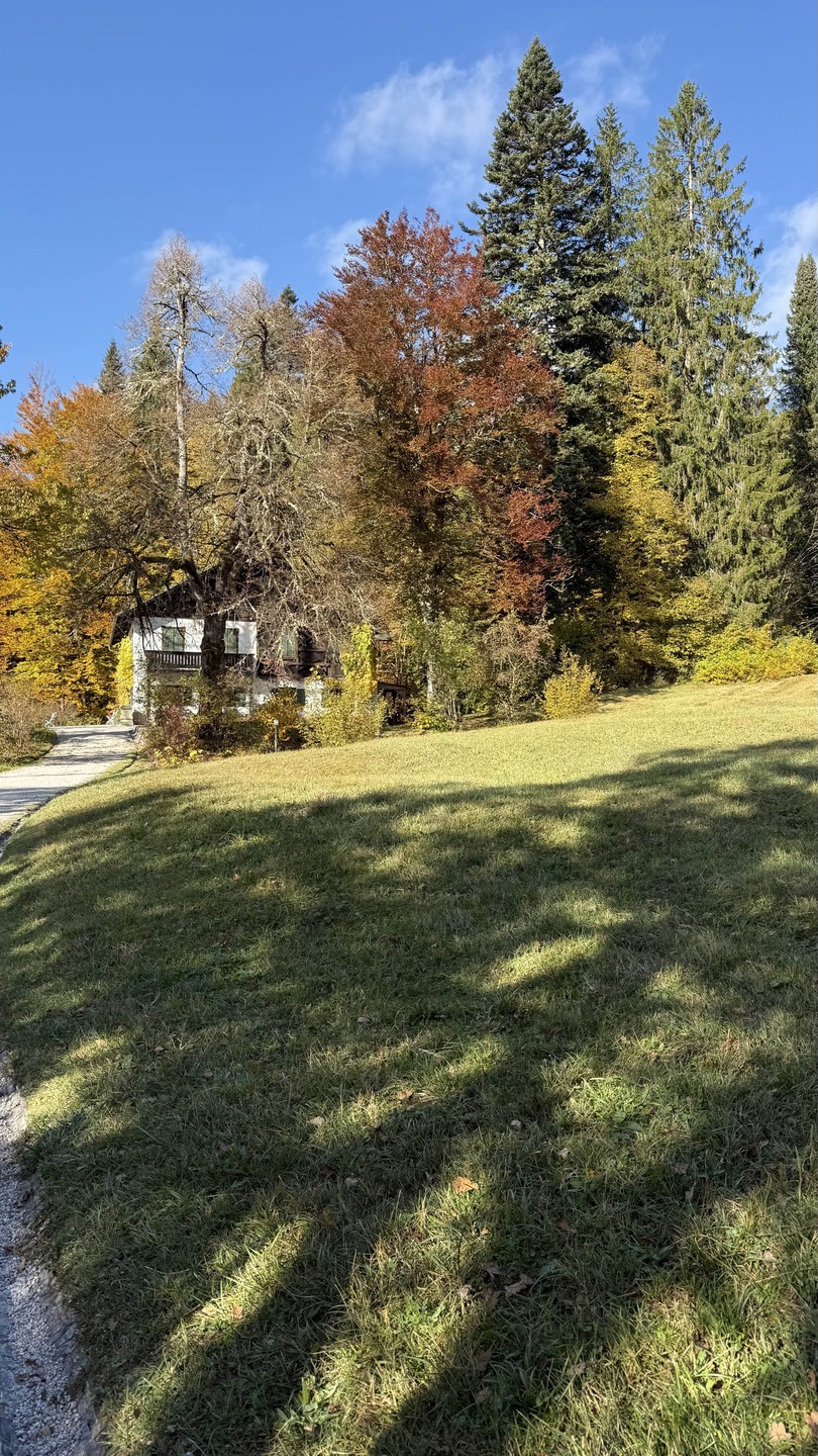 Поездка была потрясающая. Очень повезло с погодой: чистое голубое небо, золотая осень Баварии и прекрасный эрудированный