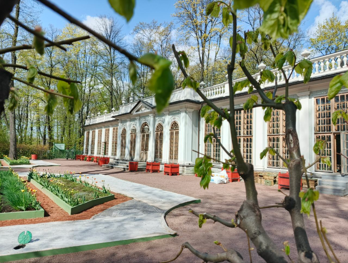 Фото к экскурсии Мобильный квест «Летний сад: путь сыщика»