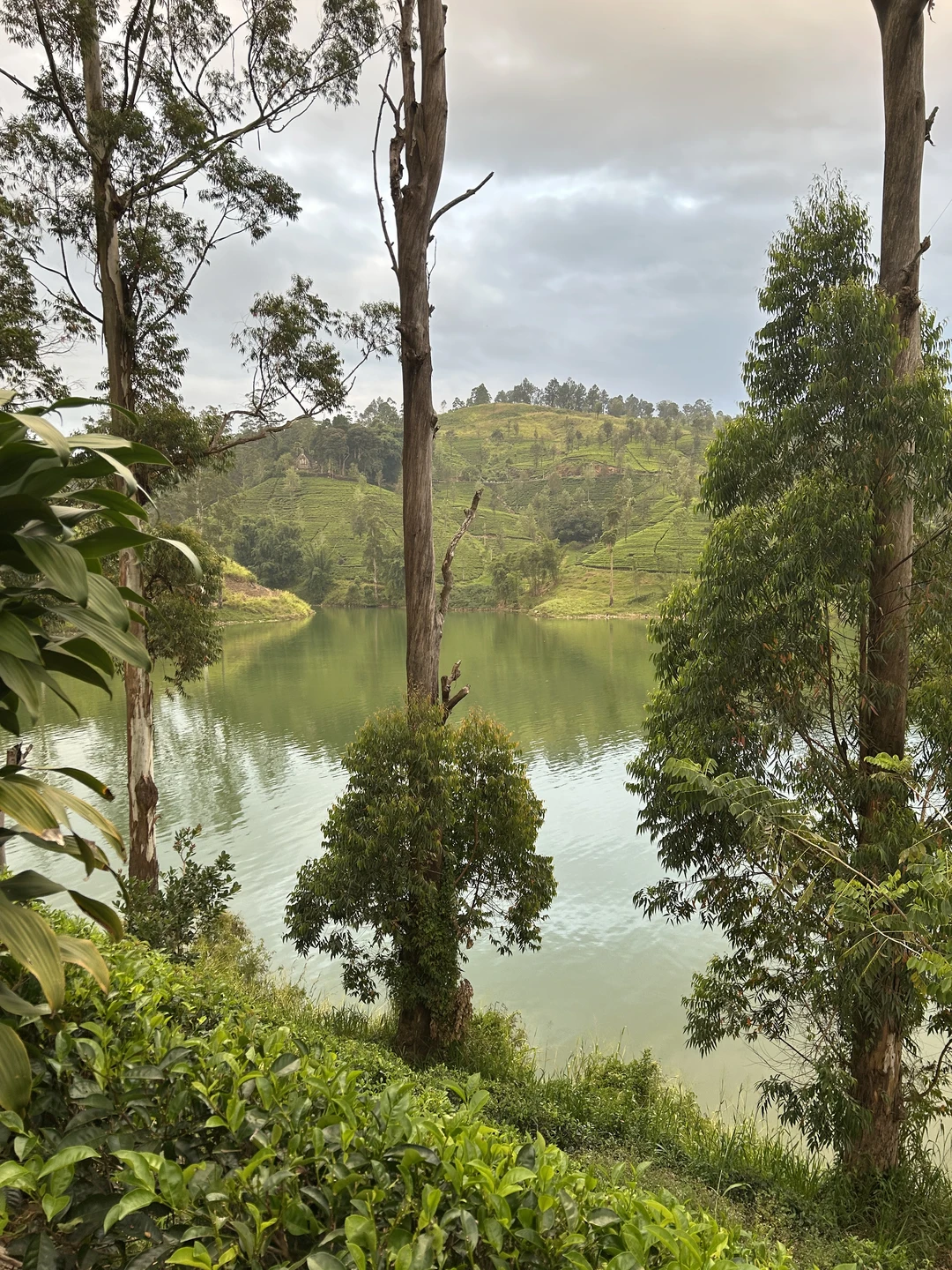 Мы хотели бы выразить свою благодарность Александру. Поездка нам очень понравилась. Александр всегда на связи, оперативно