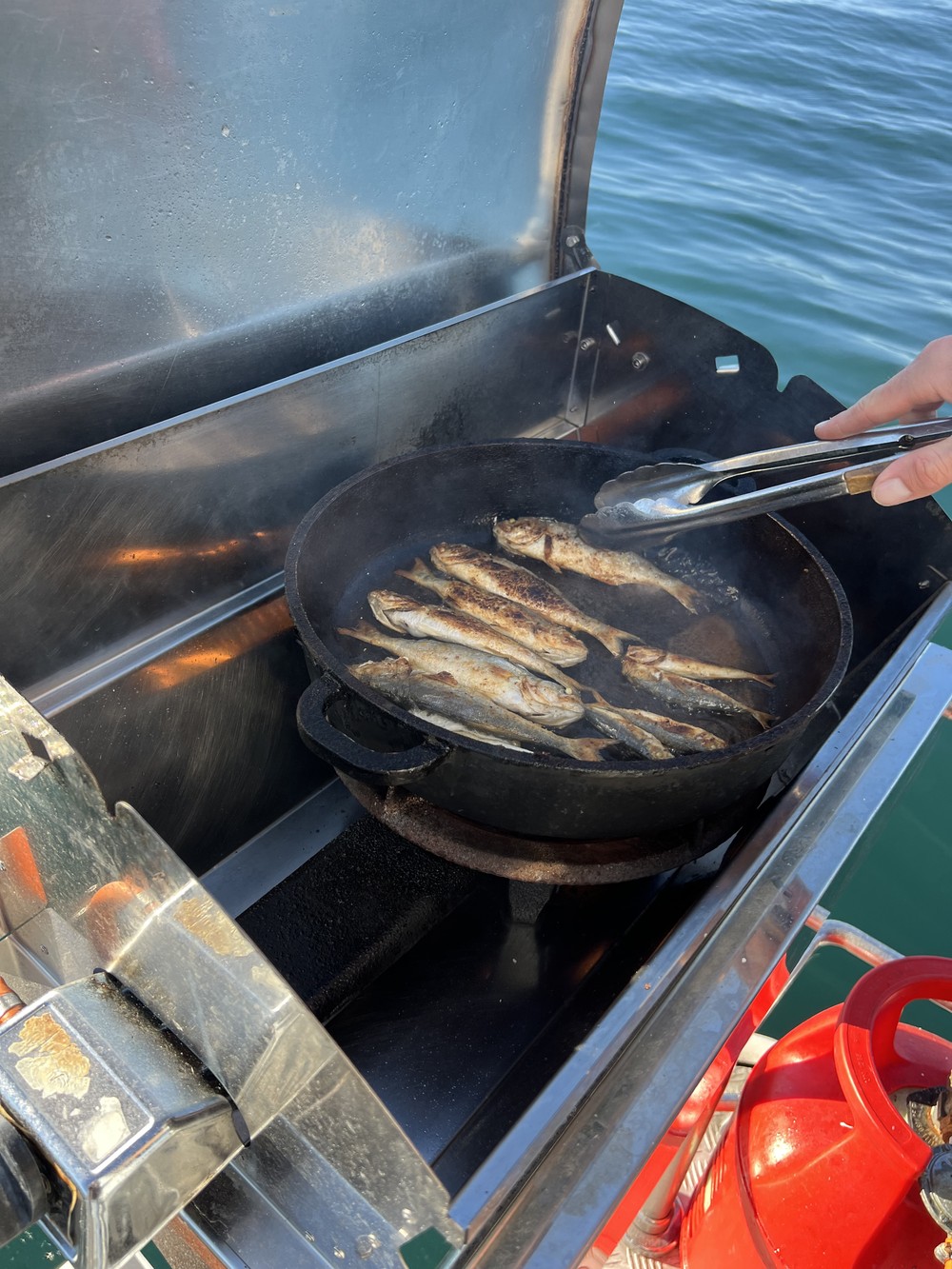 Морская и речная рыбалка в Сочи (6/21)