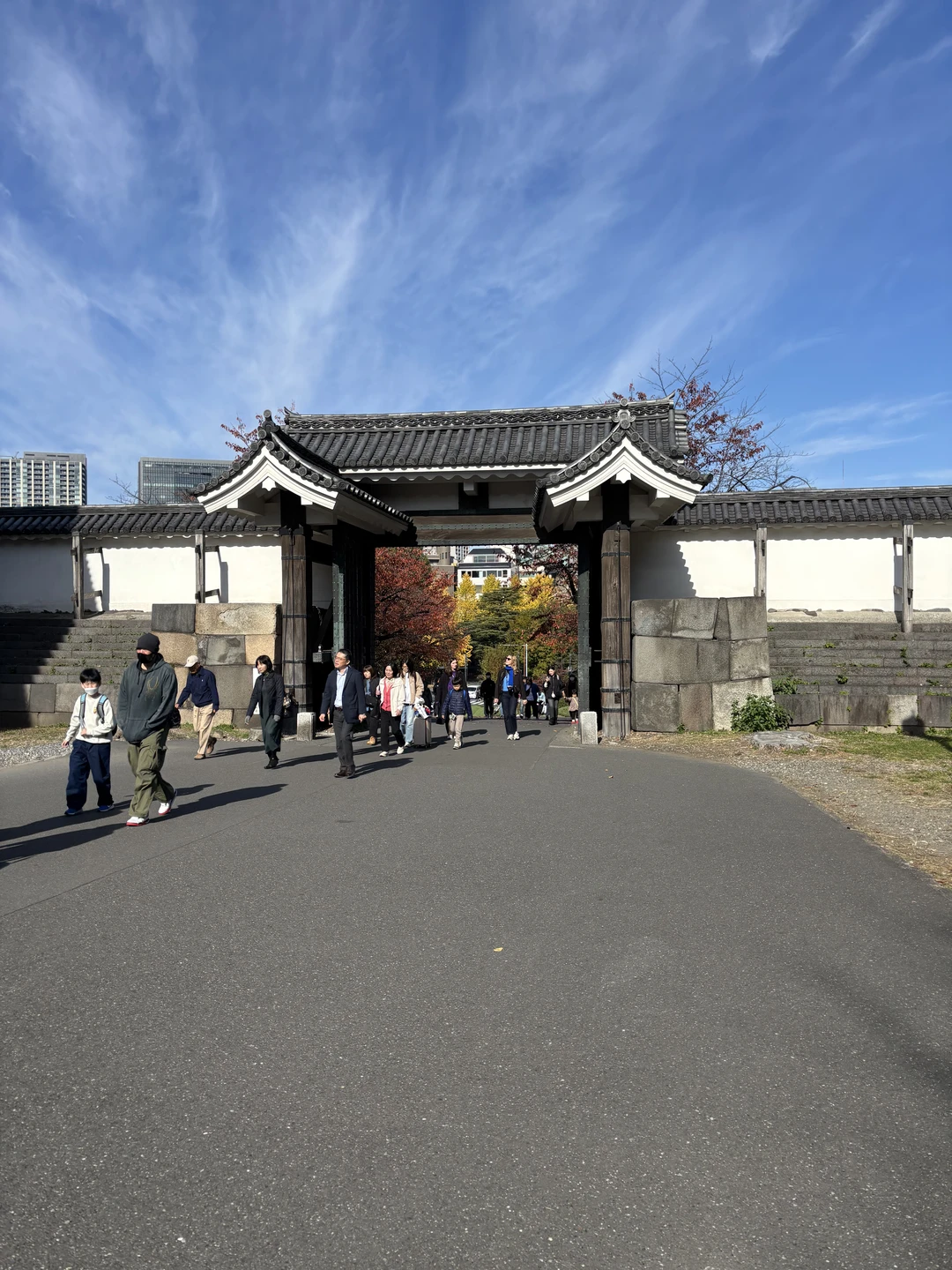 С удовольствием побывали на экскурсии с Аэлитой. Нам понравилась идея велосипедной прогулки по Токио. Самостоятельно мы