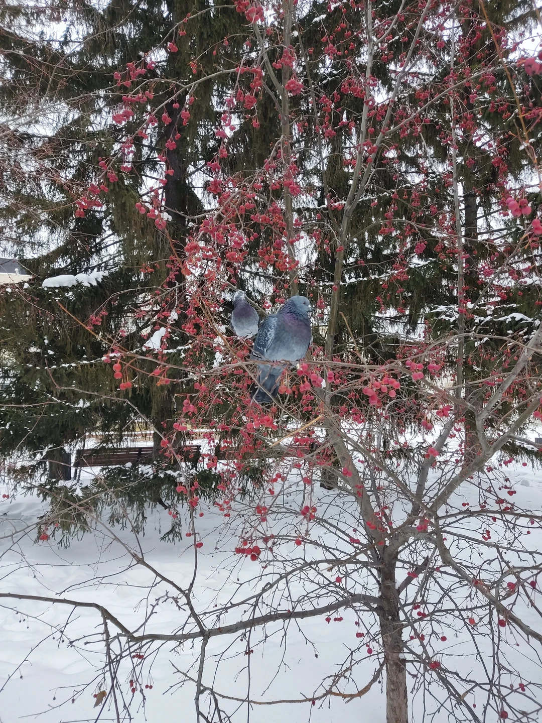 Узнать Екатеринбург за 3 часа (Попов)