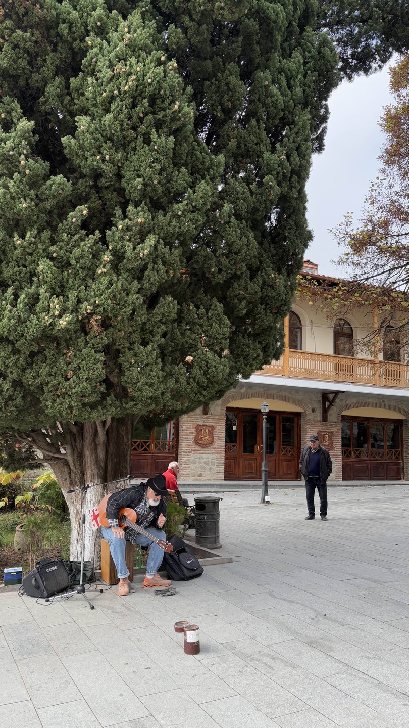 Винное приключение по Кахетии: Сигнахи, монастырь Бодбе, Телави (Юлия)