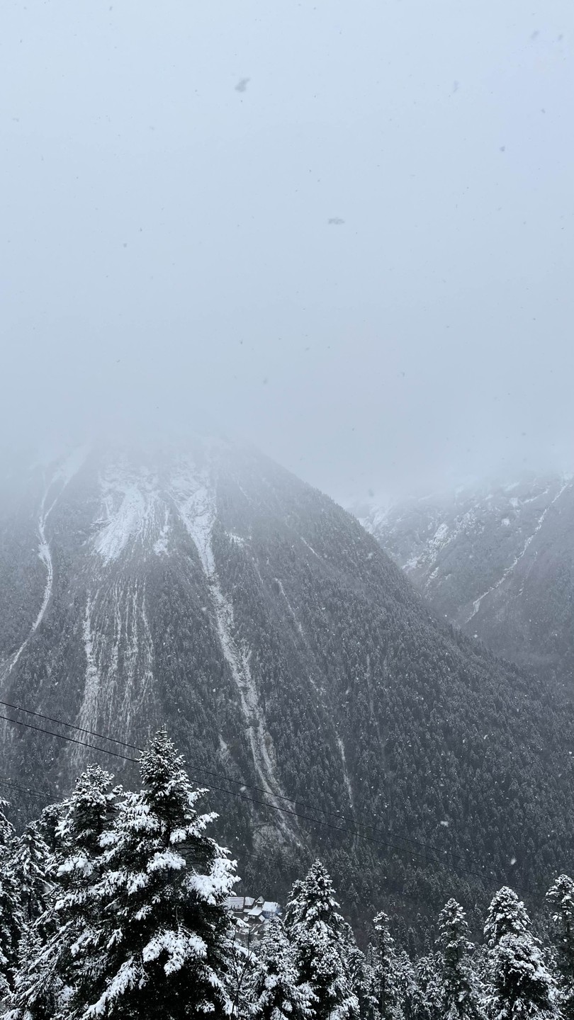 Домбай - место силы. Путешествие в мини-группе (Марина)