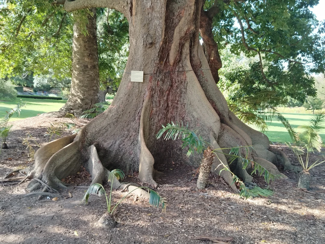 Это была замечательная обзорная экскурсия! Нас встретила экскурсовод Анна, очень доброжелательная девушка. Мы прошлись по знаковым