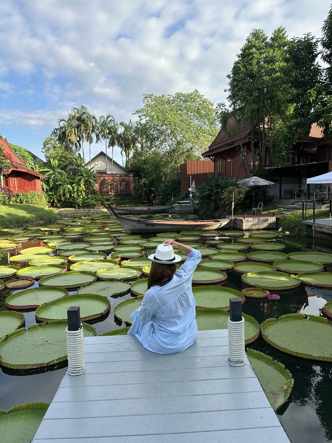 Половина локаций понравилась - много эмоций от посещения слоновника, красивое кафе с кувшинками и вечером термальные источники