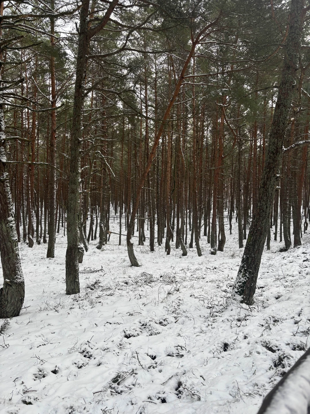 В целом все неплохо, но экскурсовод очень бегло по всему прошлась, причем с достаточно большой скоростью)