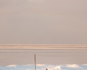 Семинар и восстановление