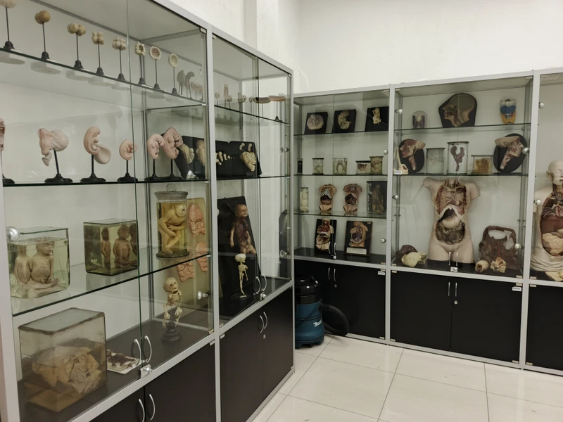 Спасибо экскурсоводу, она очаровательна, очень интересно рассказала всё, эта экскурсия стала самым ярким впечатлением от поездки в СПб