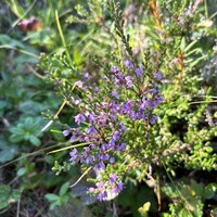 Фото отзыва 3: экскурсия "Путешествие в Лапландский заповедник в мини-группе"