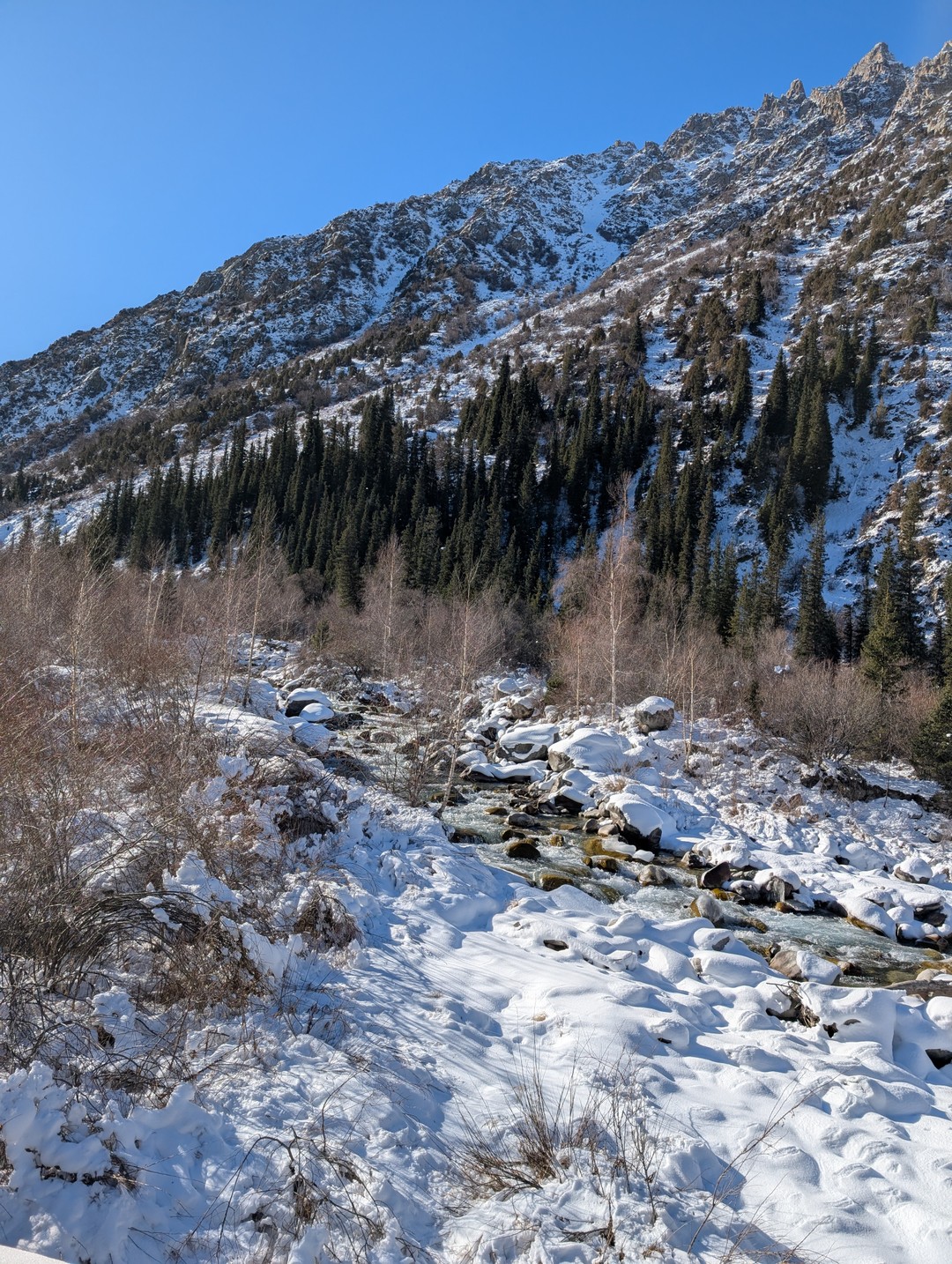 Очень впечатлила эта экскурсия! Шикарные, потрясающие виды, интересный маршрут, приятное общение, вкусный обед