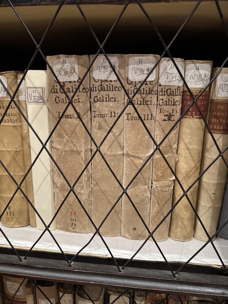 Проездом заскочили в Болонью на 1 день. Очень хотелось познакомиться с историей города, посетить самые значимые