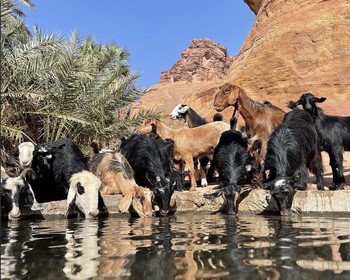 Аль-Дисах - аравийский Гранд-каньон