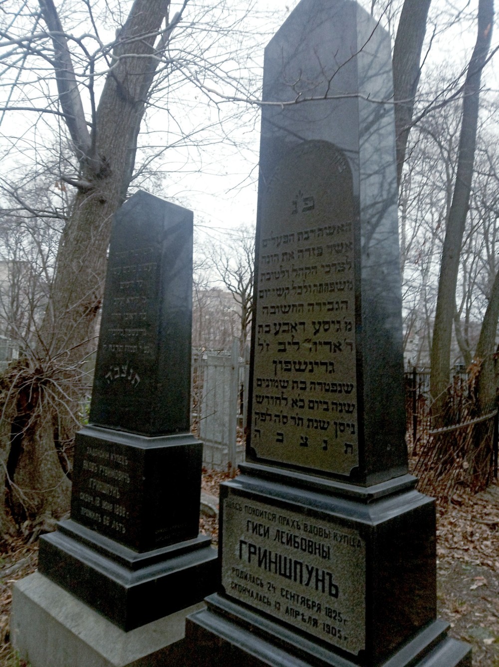 Тайны воронежского некрополя (7/7)