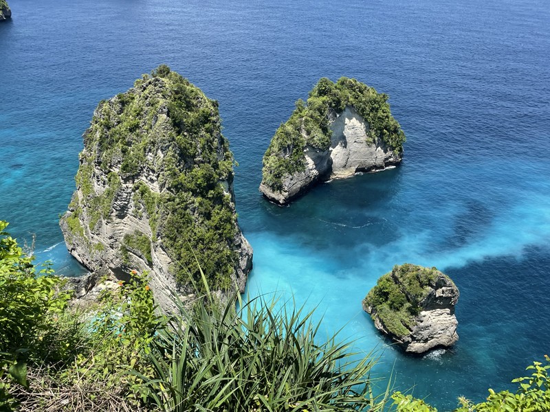 Начну с простого, более 15 лет я мечтал поплавать с Мантами