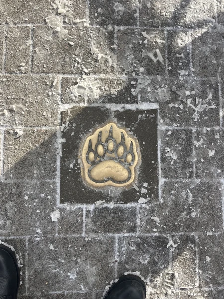 отличная экскурсия, лучший гид!!! рекомендую всем