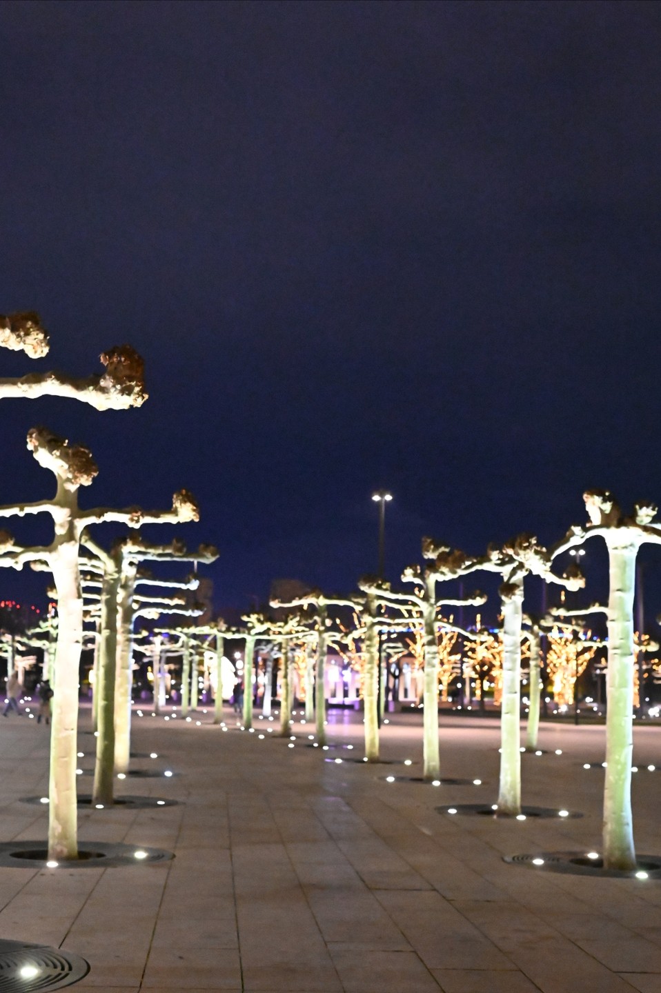 Были проездом в городе не раз, но в этот раз решили остановиться и познакомиться с достопримечательностями