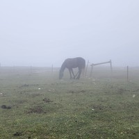 Фото отзыва 2: экскурсия "Плато Бермамыт: чудо Кавказа"
