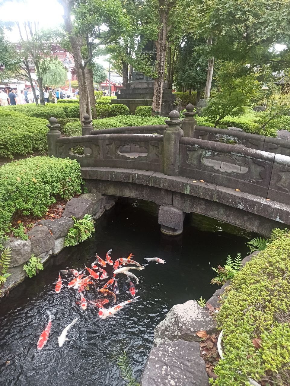 Мы были на экскурсии в составе 4 взрослых 6 октября, забронировали её на день нашего прилёта