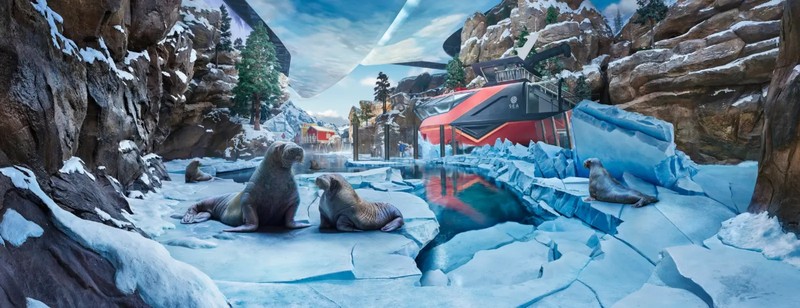Билет в парк SeaWorld