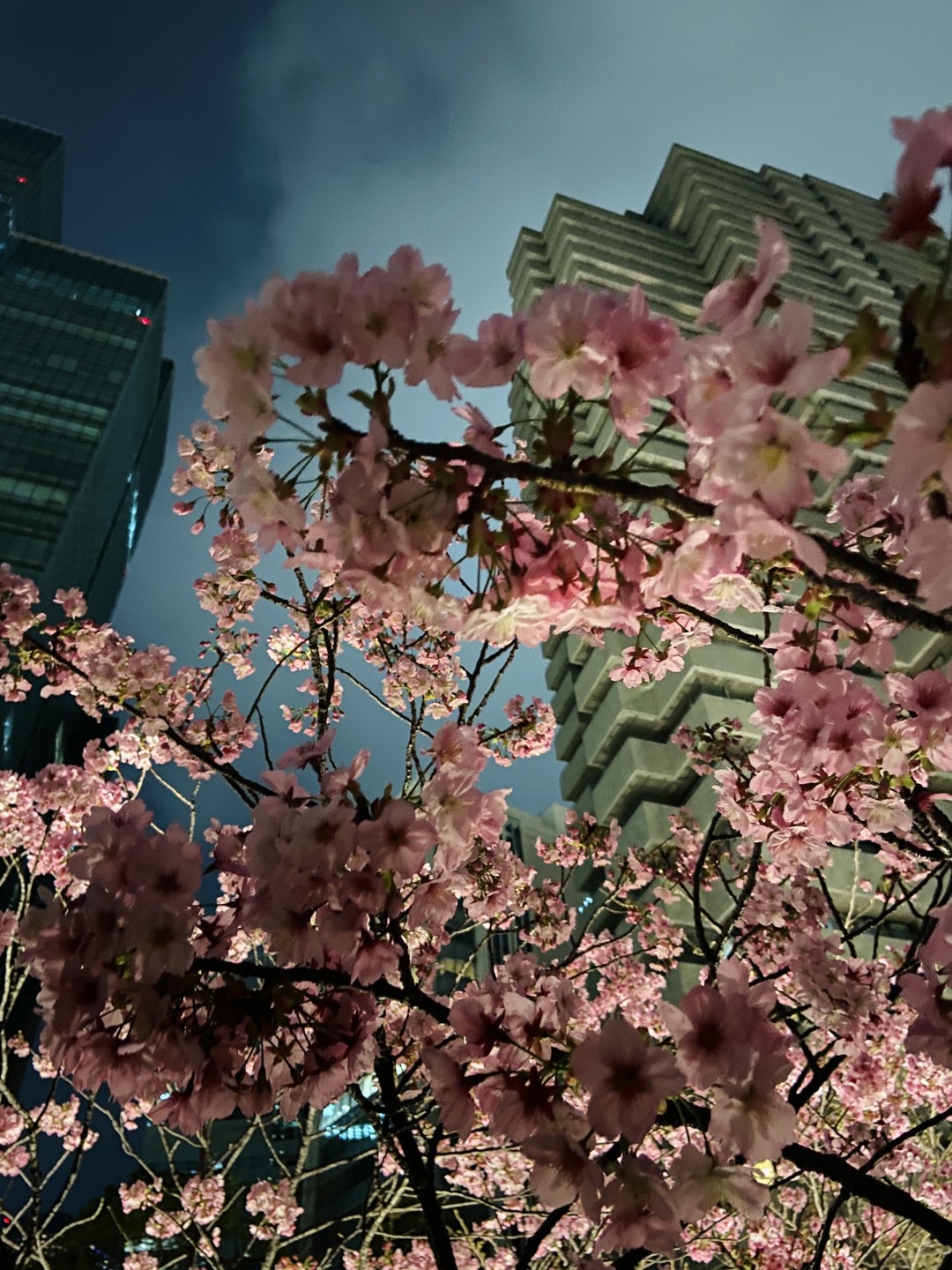 Большое спасибо за экскурсию!