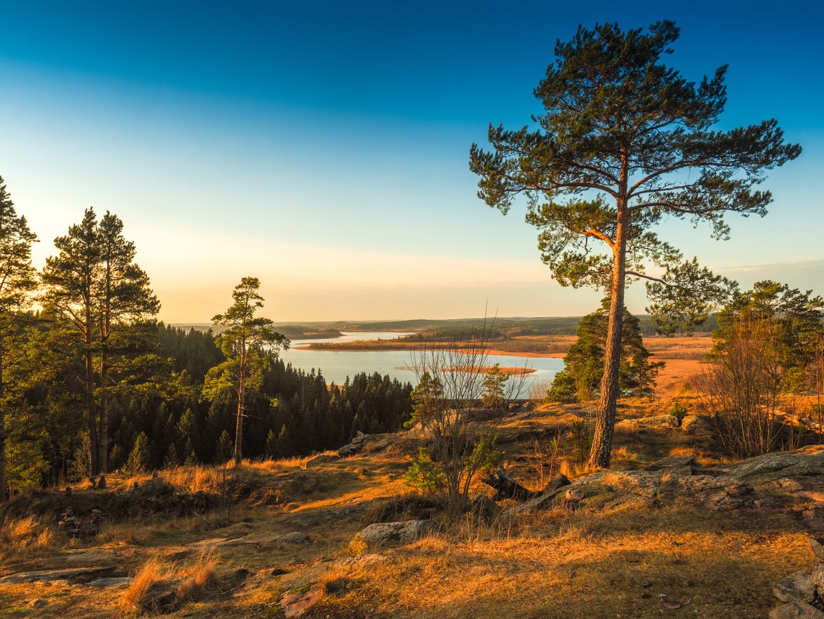 Фото - Экскурсия: "Перезагрузка в Карелии: йога, прогулки на природе и главные места (из Санкт-Петербурга)"