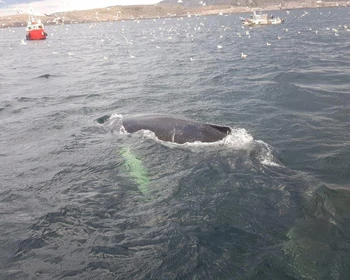 Териберка - легенда Кольского полуострова