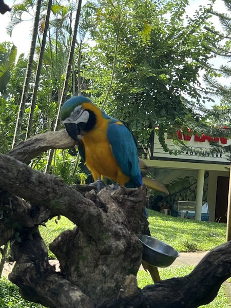 отличная эскурсия. по времени не долго. 6-7 часов