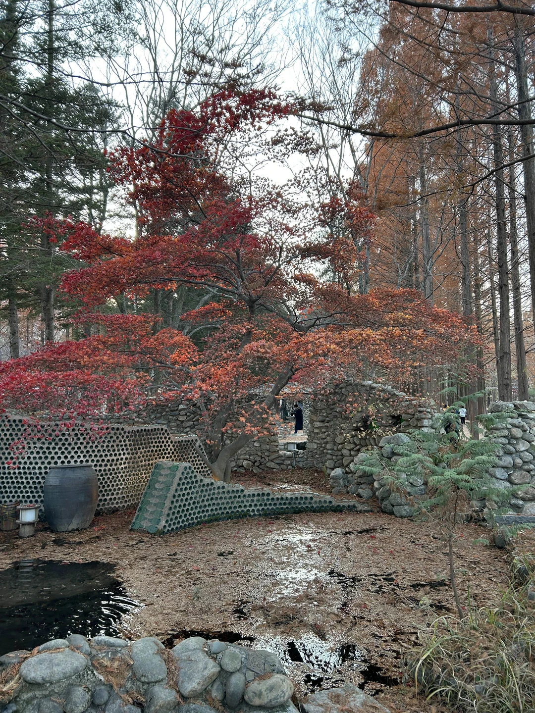 Нам очень понравилась экскурсия. Вячеслав - молодец. Очень вежлив и тактичен! Много рассказывал про Корею! Время пролетело незаметно